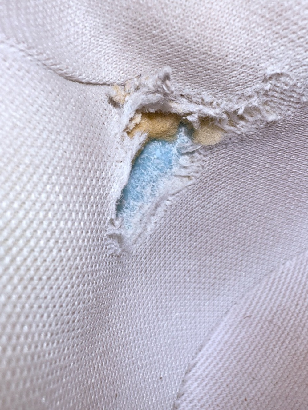 Veja Women’s Campo Chromefree Low-Top Sneaker in white/kaki - Picture 15 of 15